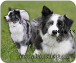 Mousepad Australian Shepherd